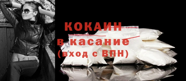 сатива Арсеньев