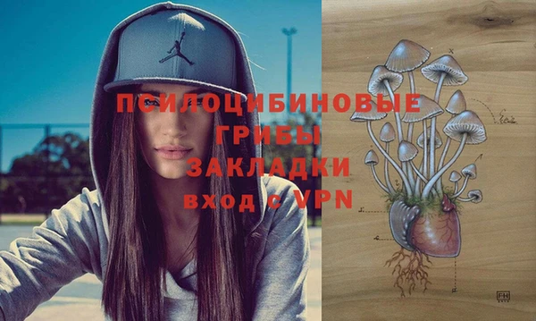 соль ск Аркадак