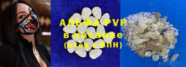 сатива Арсеньев