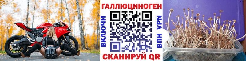 Псилоцибиновые грибы прущие грибы  Устюжна 